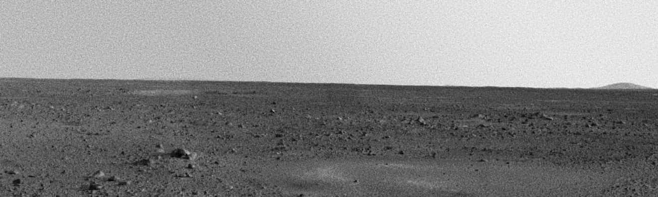 Pictured: the Philadelphia desert. 